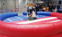 Bullriding Rodeo